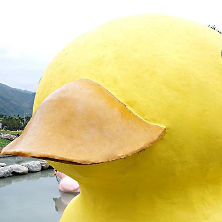 依比鴨鴨水岸會館 Ducking House Bed & Breakfast Ruisui Bagian luar foto