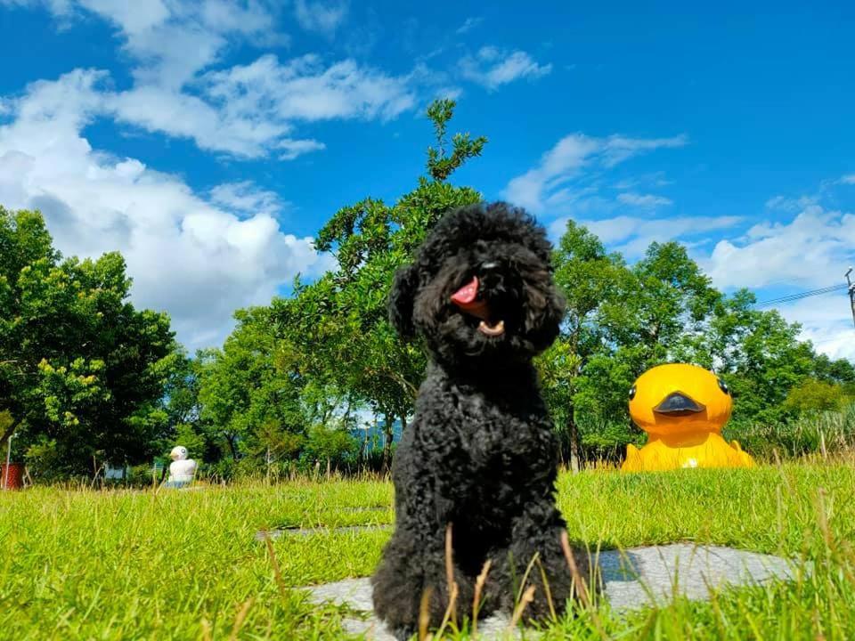 依比鴨鴨水岸會館 Ducking House Bed & Breakfast Ruisui Bagian luar foto