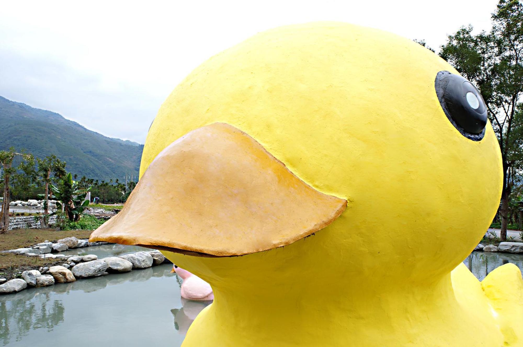 依比鴨鴨水岸會館 Ducking House Bed & Breakfast Ruisui Bagian luar foto